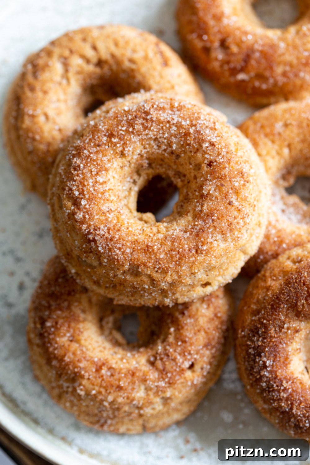 Cozy Vegan Apple Cider Baked Donuts 8 Baked Apple Cider Donuts presented beautifully for a fall treat. Vegan, soy-free recipe.