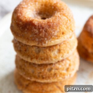 Baked Apple Cider Donuts. These Cider donuts have amazing spiced flavor with concentrated cider. Perfect for fall. Vegan, Soy-free Recipe.