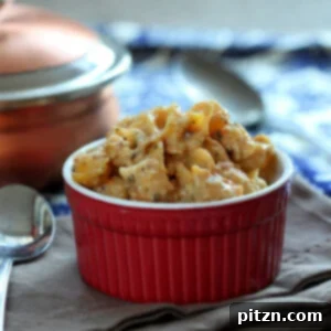 Quinoa Shell Pasta with Creamy Garlic Jalapeno Sauce