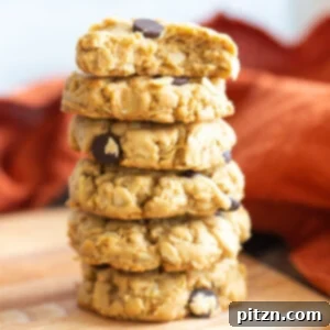 Finished Vegan Peanut Butter Oatmeal Chocolate Chip Cookies