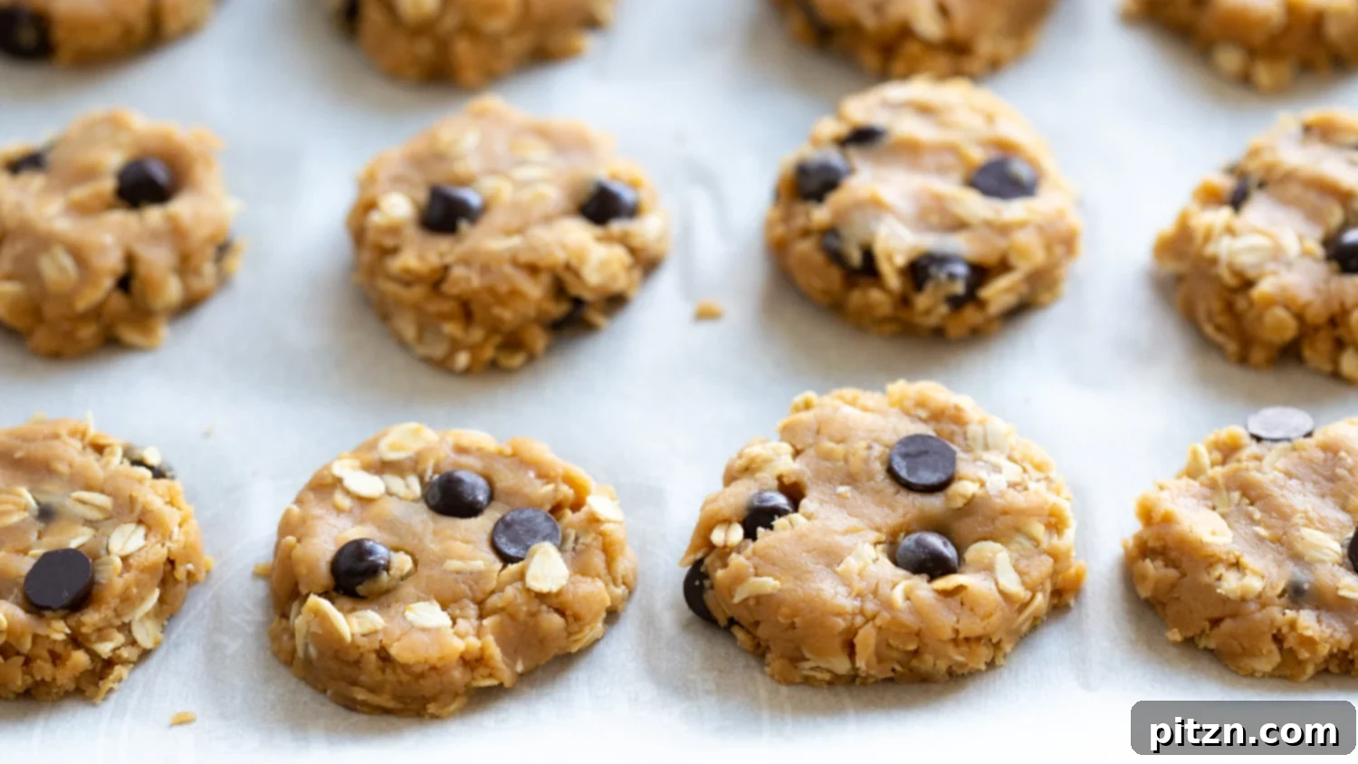Easy One-Bowl Vegan Peanut Butter Oatmeal Chocolate Chip Cookies 9 Rows of flattened Vegan Peanut Butter Oatmeal Chocolate Chip Cookies on a parchment-lined baking sheet, with visible chocolate chips.