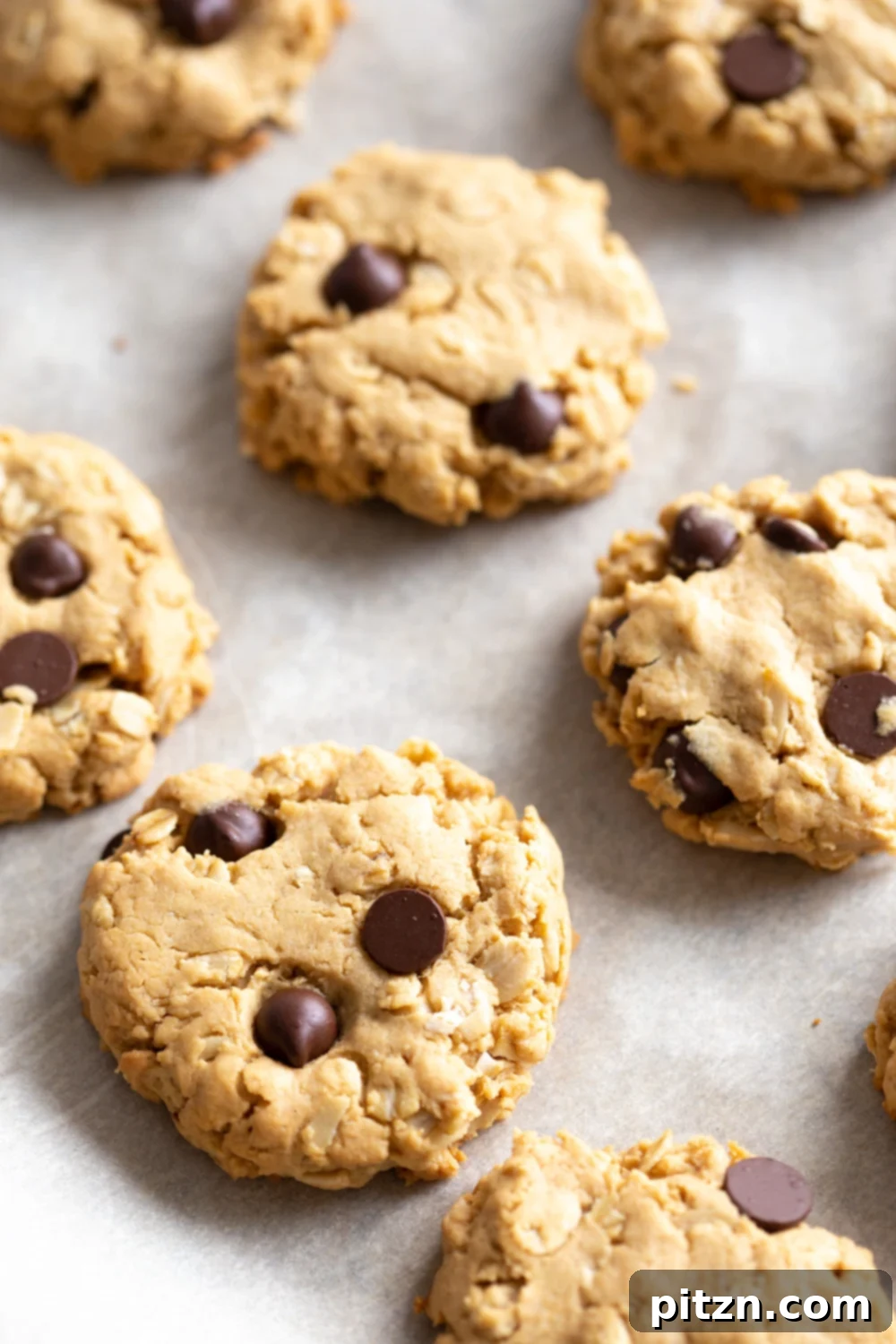 Easy One-Bowl Vegan Peanut Butter Oatmeal Chocolate Chip Cookies 10 Freshly baked Vegan Peanut Butter Oatmeal Chocolate Chip Cookies arranged on a parchment-lined baking sheet, still warm and inviting.