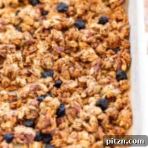 This Date Caramel Maple Pecan Granola is lightly sweet and perfect for any time. Pecans, Oats, coconut, pumpkin and chia seeds and dried blueberries tossed in date caramel and baked to perfection. #Vegan #Granola #Glutenfree #Soyfree #Recipe #VeganRicha Can be nutfree.
