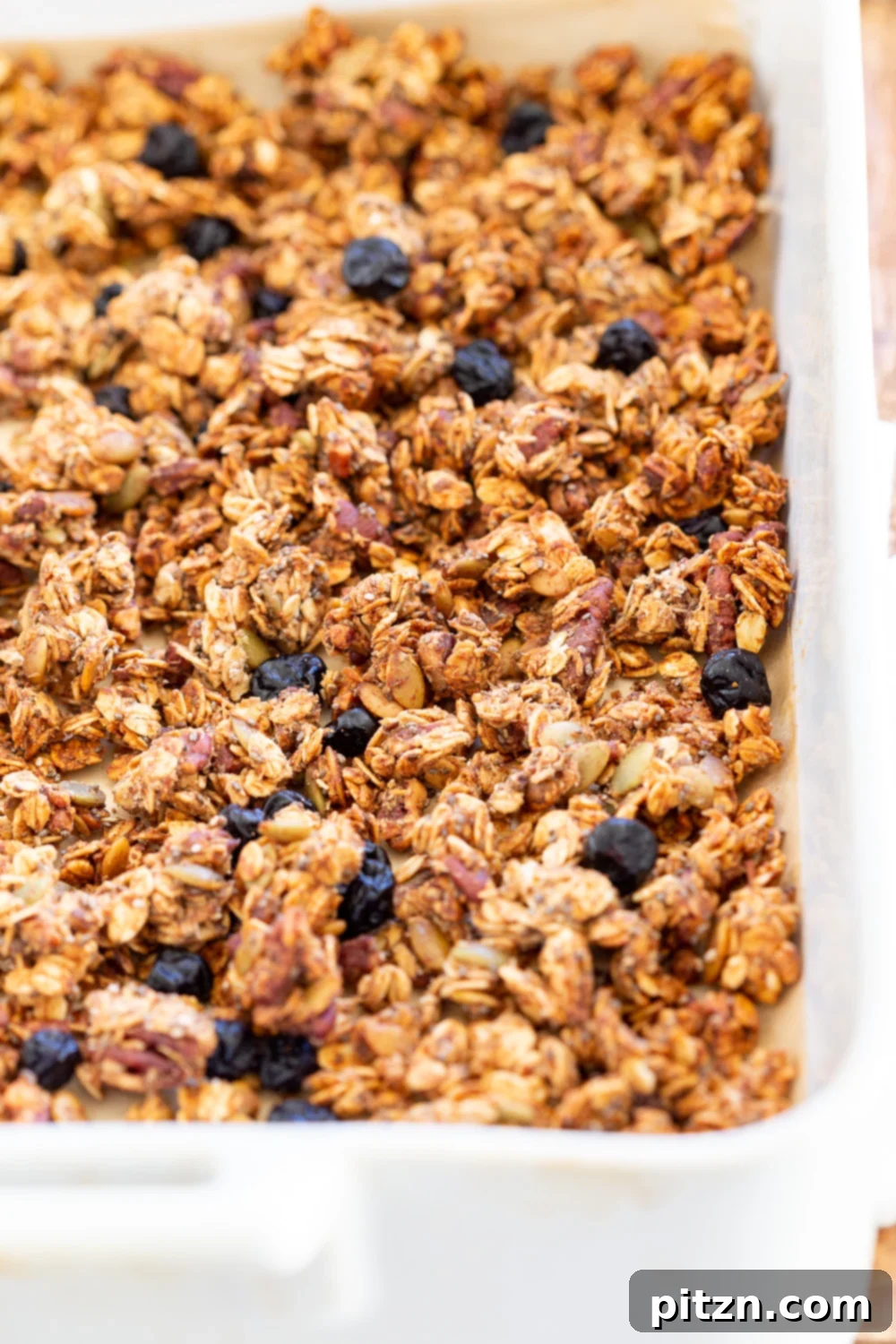 This Date Caramel Maple Pecan Granola is lightly sweet and perfect for any time. Pecans, Oats, coconut, pumpkin and chia seeds and dried blueberries tossed in date caramel and baked to perfection. #Vegan #Granola #Glutenfree #Soyfree #Recipe #VeganRicha Can be nutfree.