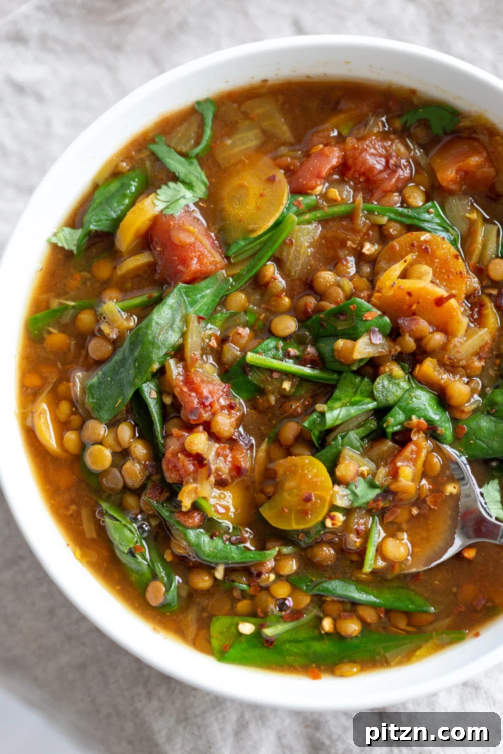 A vibrant bowl of 1 Pot Vegan Lentil Soup, rich with vegetables and lentils, prepared in an Instant Pot or Saucepan. This comforting and filling soup is ready in 30 minutes, freezer-friendly, and made with everyday ingredients. Perfect for a healthy, gluten-free, soy-free, and nut-free plant-based meal. | VeganRicha.com