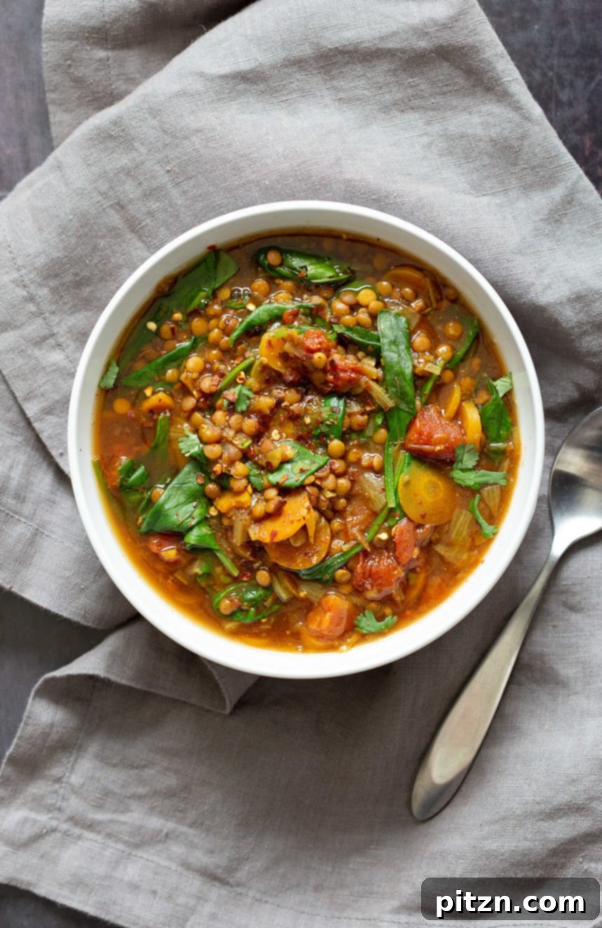 Another beautiful shot of the 1 Pot Vegan Lentil Soup, garnished and ready to serve. This easy vegetable soup is warming, comforting, and incredibly filling, making it an ideal choice for a 30-minute, freezer-friendly, gluten-free, soy-free, and nut-free vegan meal prepared in an Instant Pot or Saucepan. | VeganRicha.com