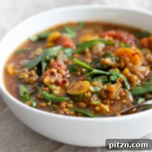 A vibrant and comforting bowl of 1 Pot Vegan Lentil Soup, made effortlessly in an Instant Pot or Saucepan. This easy vegetable soup is warming, incredibly filling, 30-minute quick, and freezer-friendly. It's a healthy, gluten-free, soy-free, and nut-free plant-based recipe perfect for any meal. | VeganRicha.com