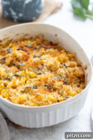 20 Must-Try Vegan Pasta Recipes 7 Vegan Pumpkin Mac and Cheese Bake. An easy creamy pumpkin sauce with pasta, topped with crisp sage and breadcrumbs. Vegan, soy-free recipe, with a nut-free option.