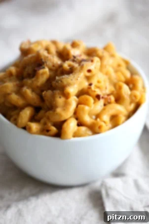 20 Must-Try Vegan Pasta Recipes 11 This Easy Vegan Mac and Cheese Powder is perfect to whip up mac and cheese within minutes when needed. It also makes a great gift! Add flavors and herbs for variations. Vegan Mac n Cheese Mix recipe. Gluten-free, nut-free option.