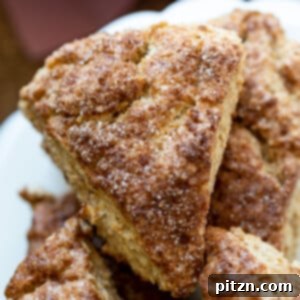 These Vegan Churro Scones need just 1 Bowl, 8 Ingredients and have No Added Oil! Crisp Vegan Cinnamon Scones for breakfast or Dessert. #Vegan #scones #Churroscones #Veganscones #VeganRicha #Nutfree option