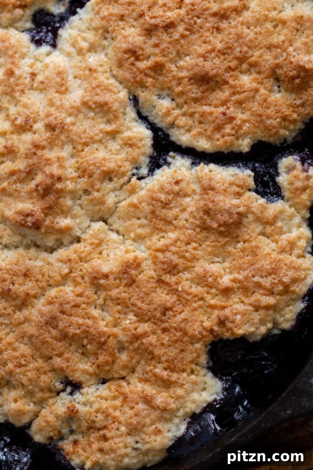 Close-up view of a baked Vegan Blueberry Cobbler, showing the rustic, golden biscuit topping and the vibrant purple-blue blueberries peeking through.