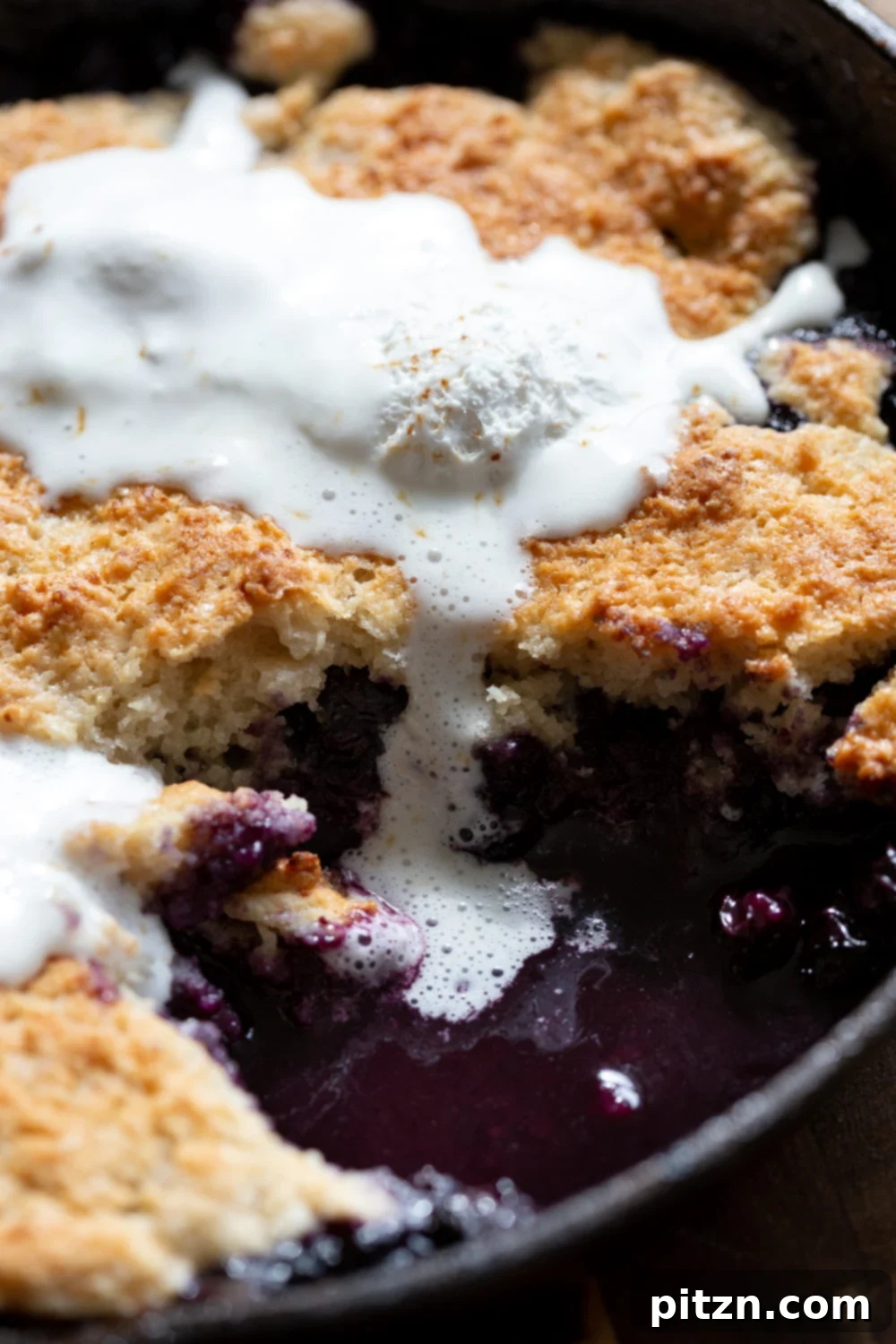 Our finished Vegan Blueberry Cobbler in a Cast Iron skillet, ready to be served.