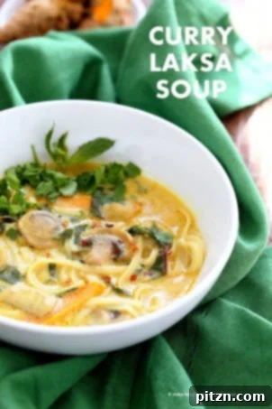 Vegan Laksa - Malaysian Curry Laksa Soup Recipe with homemade Laksa paste. Warming, spicy, flavorful soup for fall and winter. Vegan Gluten-free Soy-free Recipe | VeganRicha.com #glutenfree #veganricha #vegan