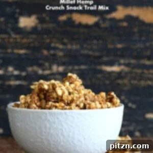 Savory Sour Cream & Onion Hemp Millet Granola