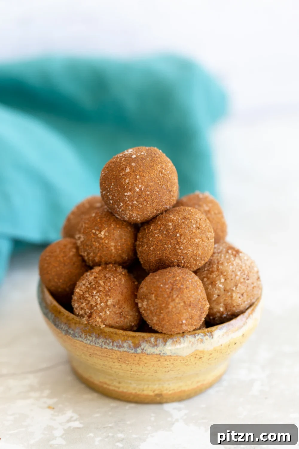 Snickerdoodle Bites Vegan Snickerdoodle Bites in a small clay bowl