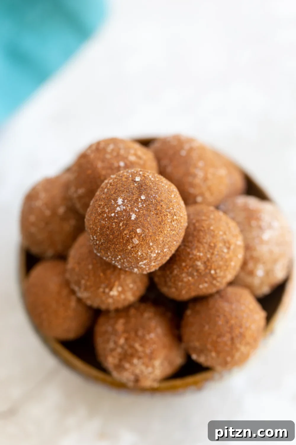 Snickerdoodle bites Overhead shot of a clay bowl with vegan Snickerdoodle bites rolled in cinnamon sugar