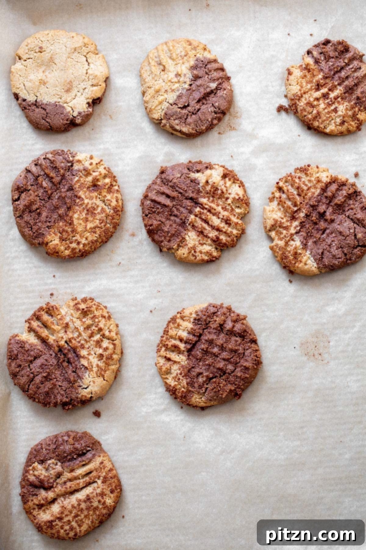 vegan snickerdoodles A freshly baked batch of vegan chocolate pumpkin pie spice snickerdoodles, golden and inviting