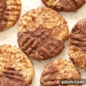 Blissful Gluten-Free Vegan Chocolate Pumpkin Spice Snickerdoodles 4 A finished Vegan Chocolate Pumpkin Spice Snickerdoodle cookie