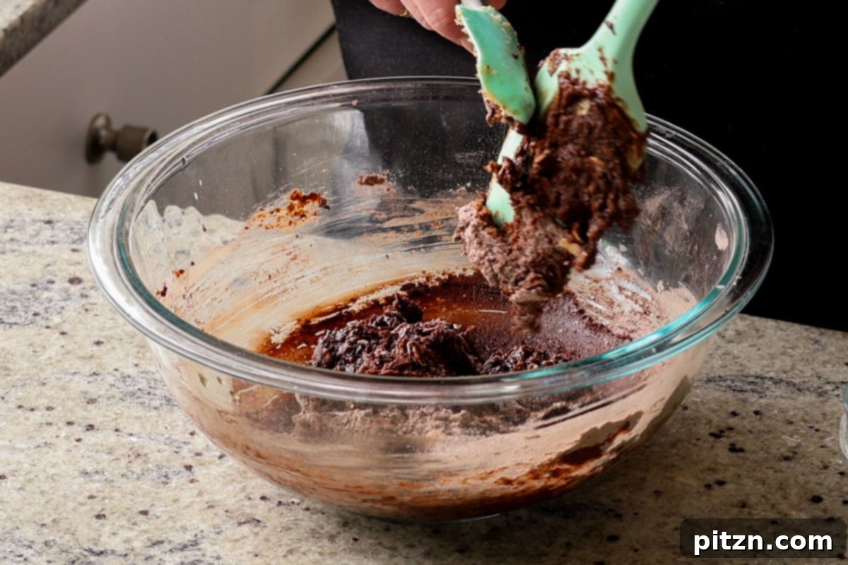 A close-up of the chocolate oat cookie batter in a mixing bowl after all ingredients have been combined, showing its uniform texture.