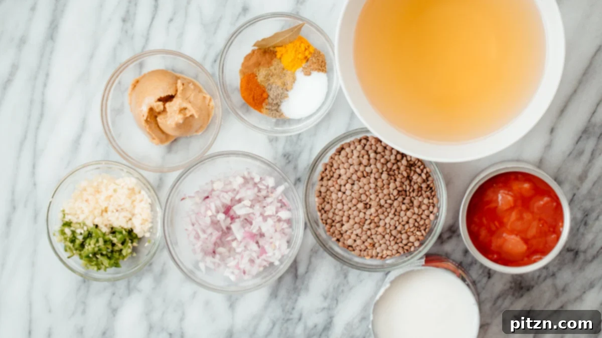 Vegan Lentil Casserole Ingredients A vibrant array of fresh ingredients laid out, including lentils, spices, coconut milk, and tomatoes, all ready for making vegan lentil casserole.