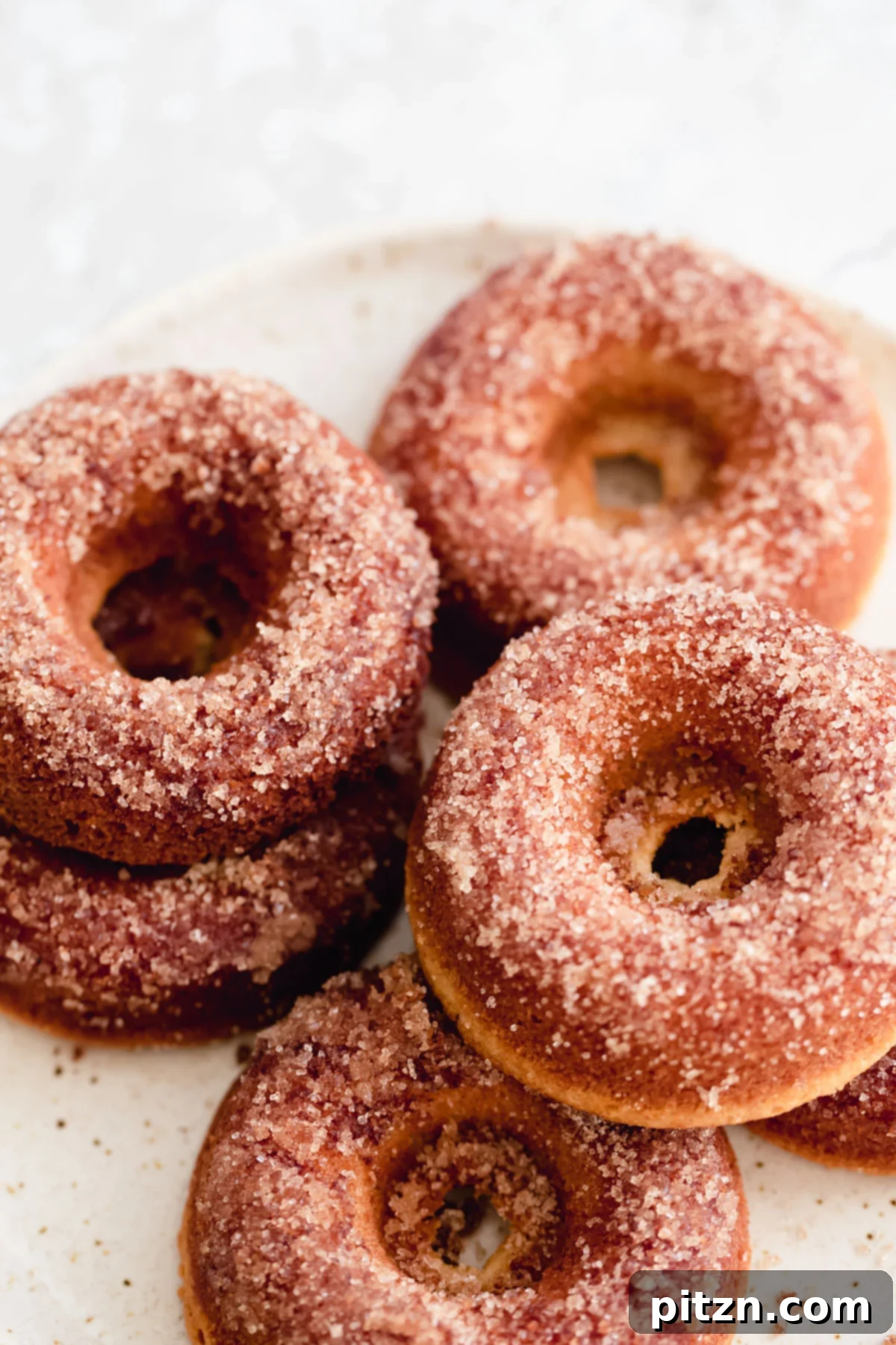 Vegan Gluten-Free Donuts with Cinnamon Sugar A top-down shot of vegan gluten-free vanilla donuts adorned with a generous coating of cinnamon sugar, arranged invitingly on a pristine white plate, showcasing their inviting texture and delicious appearance.