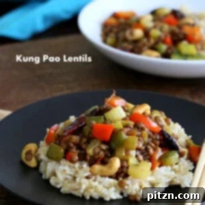 Veganuary Dash: 15 Quick 30-Minute Plant-Powered Meals 14 Kung Pao Lentils served over brown rice on a black plate, garnished with fresh cilantro.