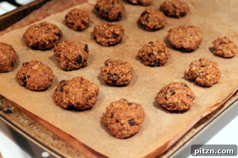 Ginger Banana Chocolate Chip Almond Oat Cookies Vegan Gluten Free Oil Free Sugar Free 9 Step 5: Shaping and placing cookie dough on parchment paper