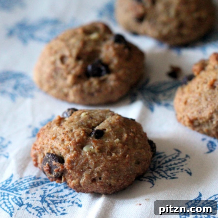 Ginger Banana Chocolate Chip Almond Oat Cookies Vegan Gluten Free Oil Free Sugar Free 10 Freshly baked Ginger Spiced Banana Almond Oat Cookies cooling