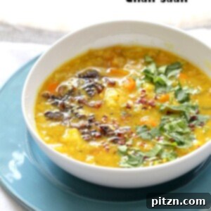 Veggie Lentil Dhansak Instant Pot in a bowl