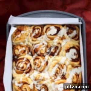 1 Hour Cinnamon Rolls with Aquafaba