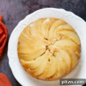 Pear Upside Down Cake. This amazing Vegan Upside Down Cake needs just 1 Bowl and 40 mins. Use oother fruits for variation.