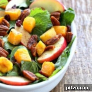 Roasted Butternut Squash Apple Cranberry Salad with harrissa Spiced Pecans, an easy Thanksgiving salad.