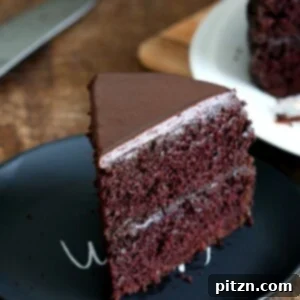 Vegan Chocolate Cake with Chocolate Peanut Butter Ganache. Simple Chocolate Layer Cake. Add raspberry or apricot preserves. Soy-free Palm Oil-free Recipe | VeganRicha.com #glutenfree #veganricha #vegan