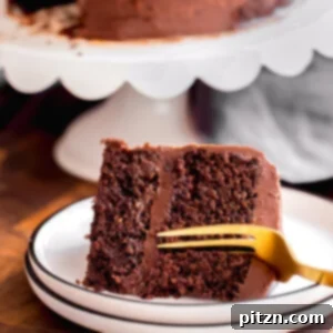 Vegan Gluten-free Chocolate Layer Cake (grainfree), super moist and rich.