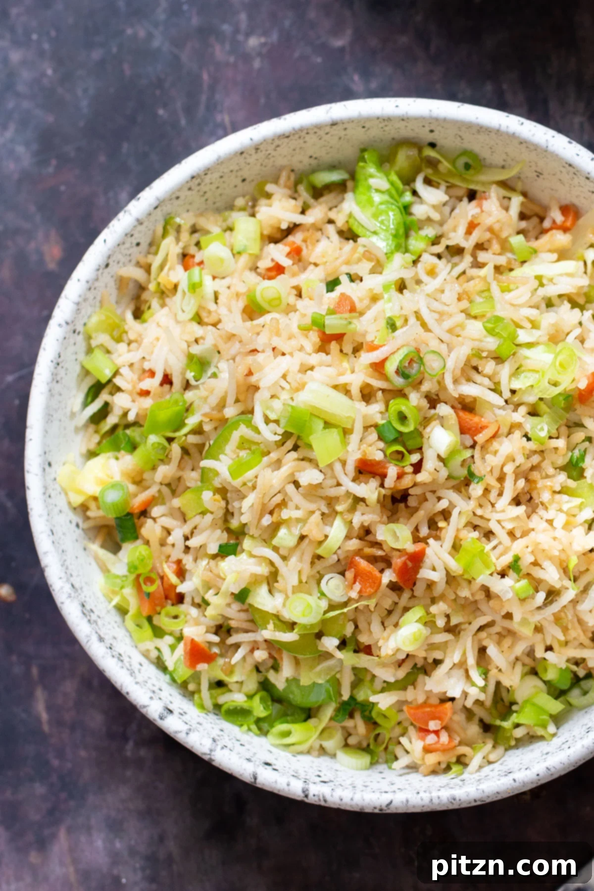 Indo Chinese Fried Rice A vibrant bowl of Indo-Chinese Fried Rice, generously garnished, inviting diners to enjoy its rich flavors and textures.