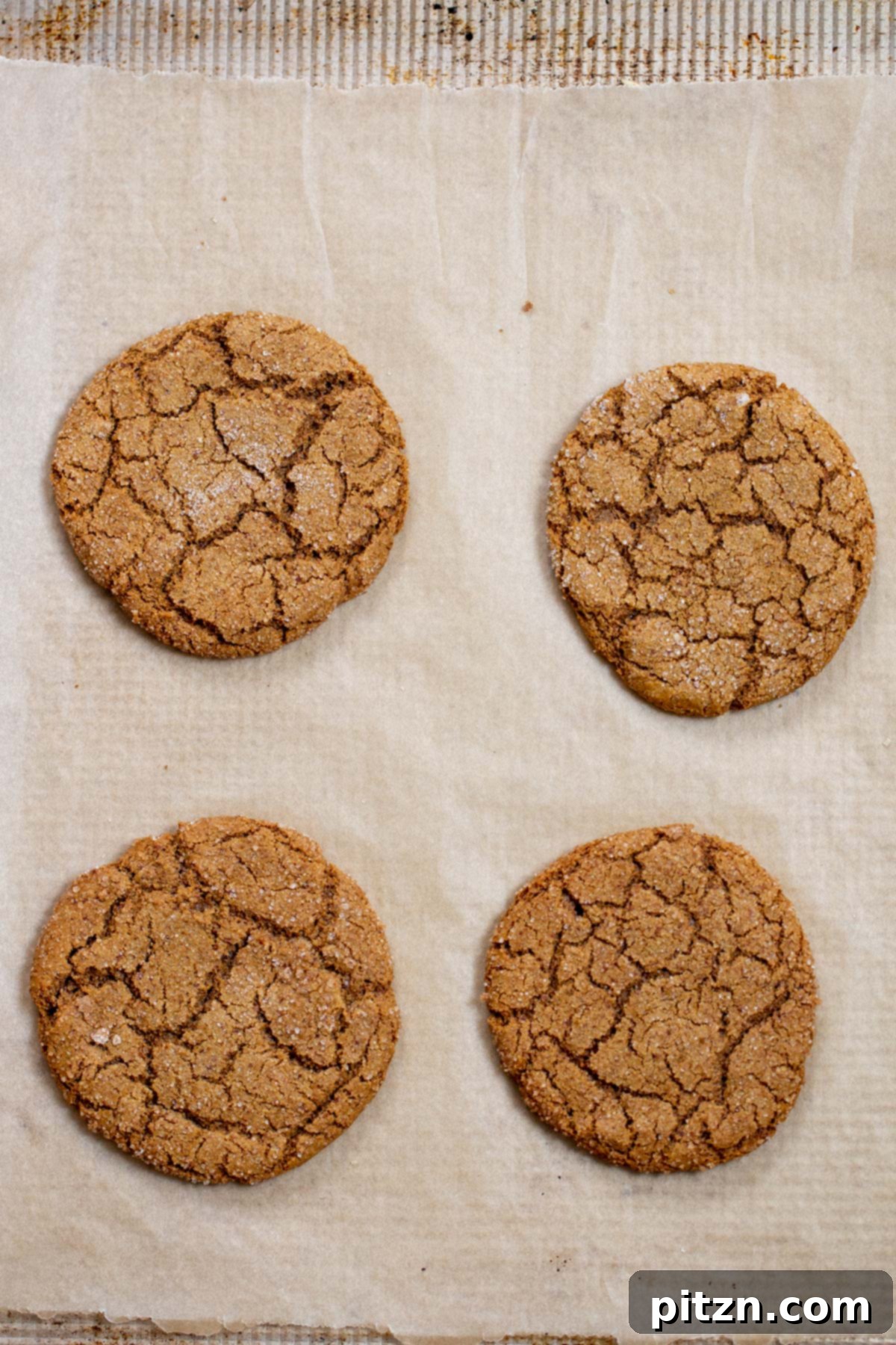 A freshly baked batch of almond flour ginger cookies, boasting their soft, crinkly tops, cooling on a baking sheet straight from the oven. Grain-Free & Gluten-free.