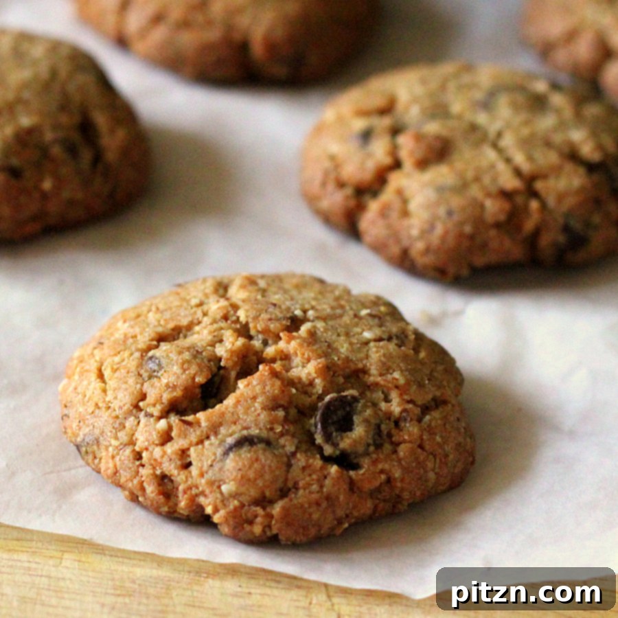 A close-up of a single, freshly baked whole grain vegan chocolate chip cookie with a slightly cracked surface, inviting you to take a bite.