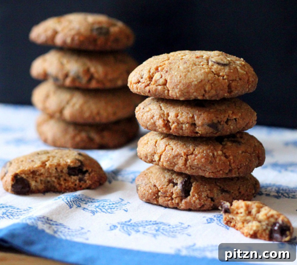 A close-up view of whole grain vegan chocolate chip cookies, highlighting their rustic, crumbly texture and visible chocolate chips.