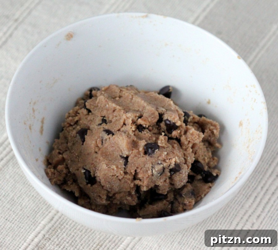 Chilled cookie dough, visibly crumbly and rich in whole grain goodness, ready for shaping.