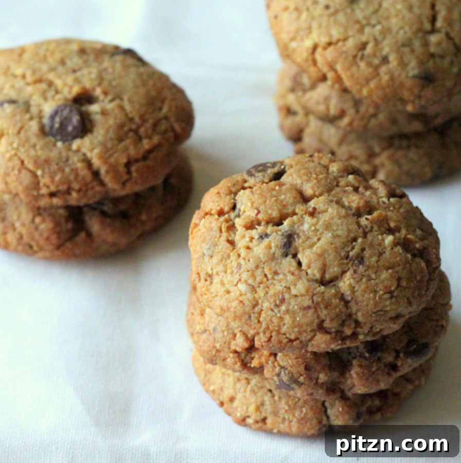 A close-up shot of a single baked chocolate chip cookie, showcasing its golden-brown edges and abundance of melted chocolate chips.