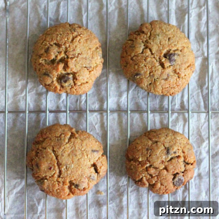 A large serving of the crumbly whole wheat and almond flour chocolate chip cookies, showcasing their inviting texture.