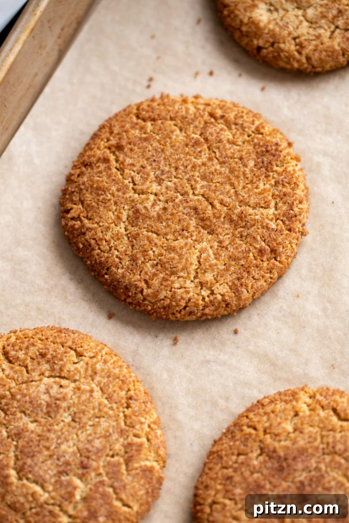 Soft and Chewy Gluten-Free Almond Flour Snickerdoodles 12 A freshly baked batch of vegan gluten-free snickerdoodle cookies cooling on a baking sheet, their crinkly tops visible.