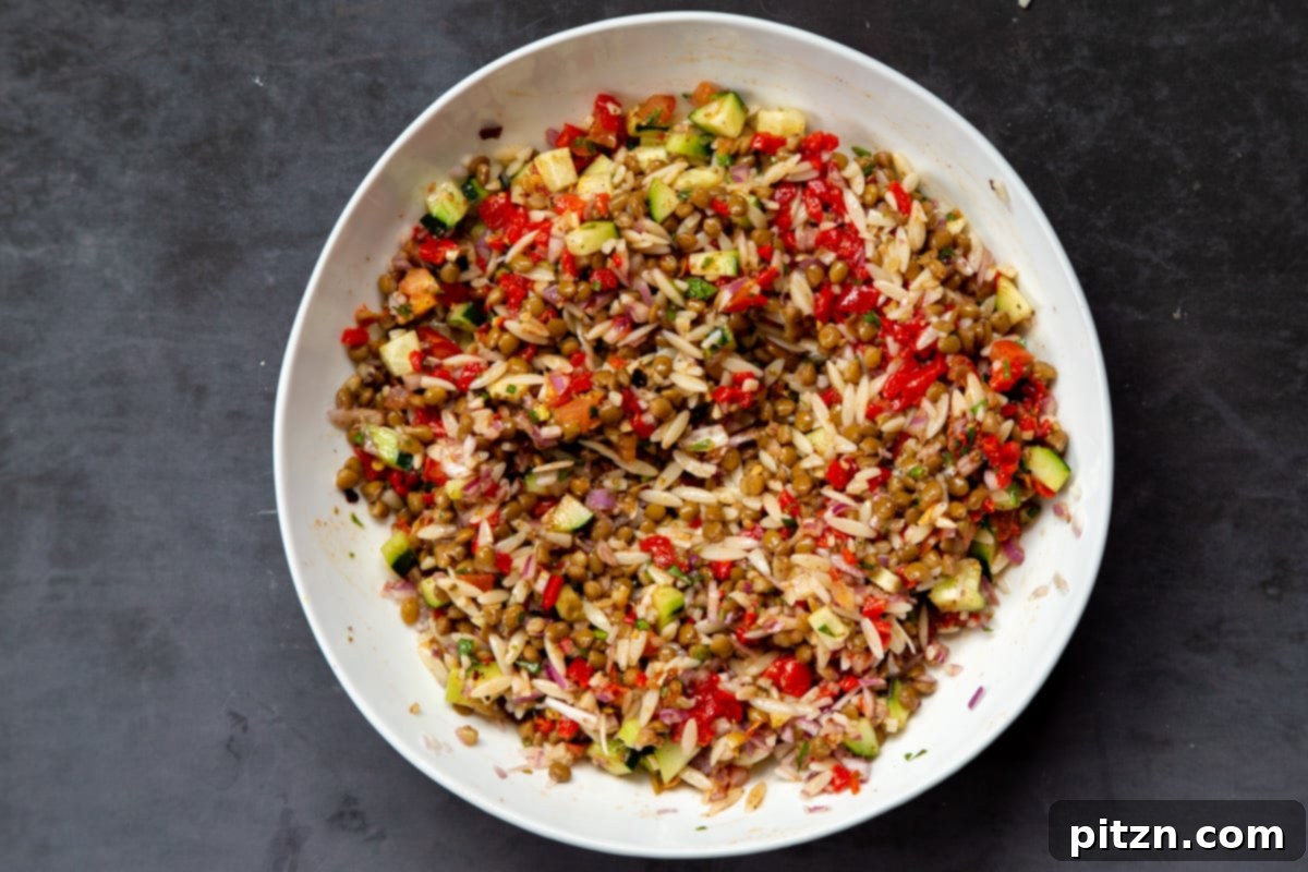 A beautifully tossed lentil farro salad with colorful vegetables and dressing, presented in a clean white bowl, ready to be served.