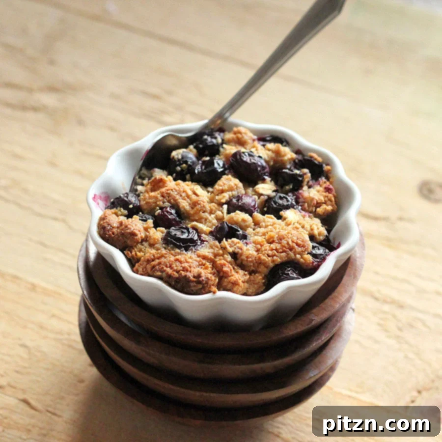 VSPCA Fundraiser Kickoff: Vegan GF Blueberry Crisp French Toast Bake 2 A beautiful baked French toast topped with vibrant blueberries and a golden-brown crisp, served in a rustic ramekin.