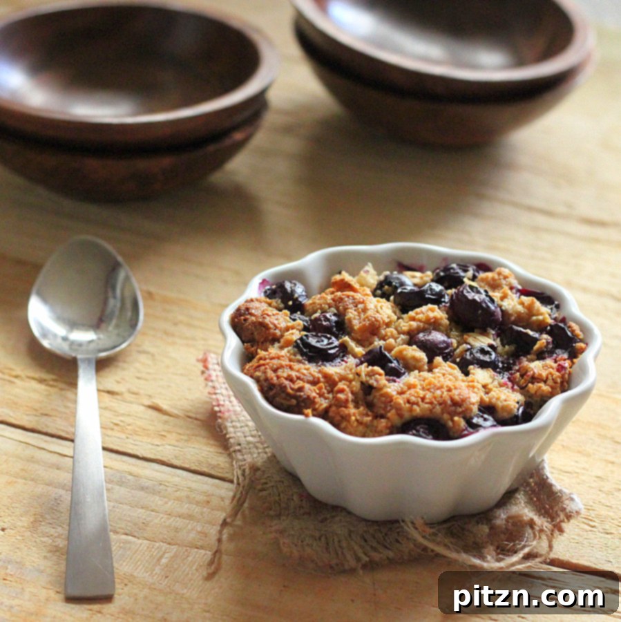 VSPCA Fundraiser Kickoff: Vegan GF Blueberry Crisp French Toast Bake 4 A close-up shot of the baked French toast, showing a spoonful scooping into the soft interior and crispy topping.