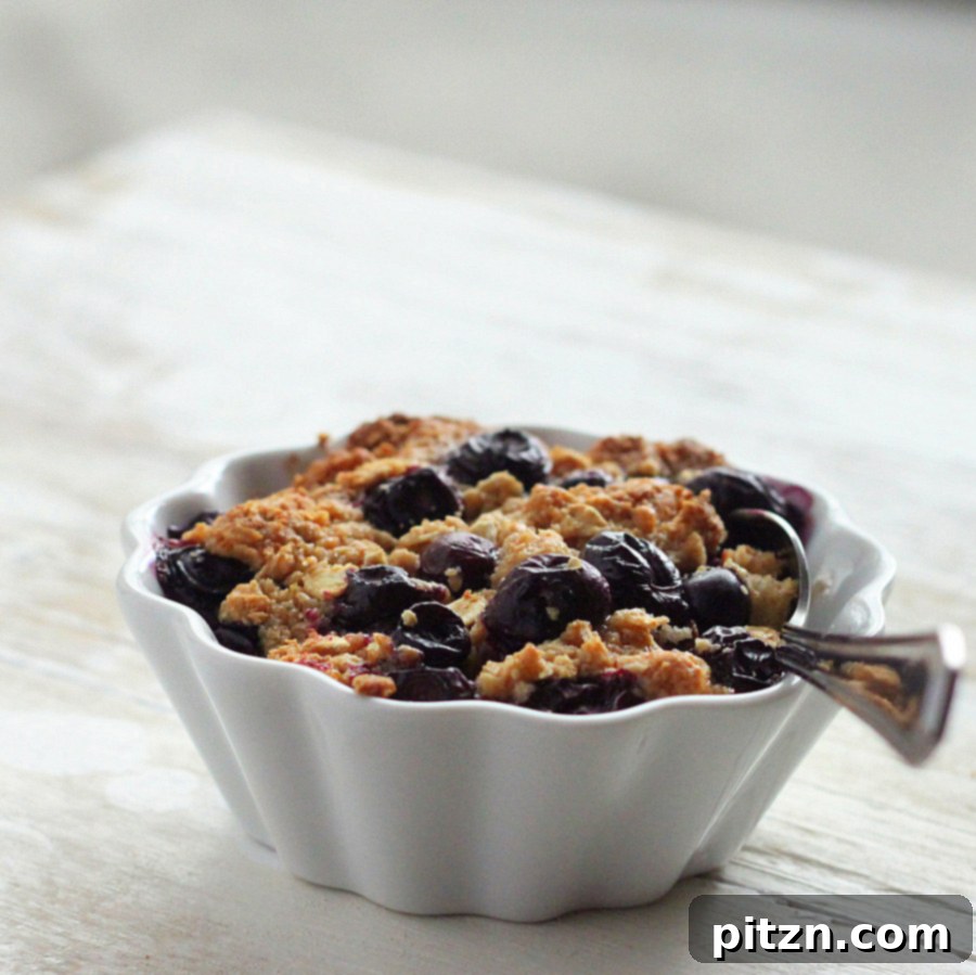 VSPCA Fundraiser Kickoff: Vegan GF Blueberry Crisp French Toast Bake 5 Another enticing view of the baked French toast, emphasizing the golden crisp and juicy blueberries.