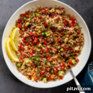 Lentil Orzo Salad with fresh herbs and vegetables