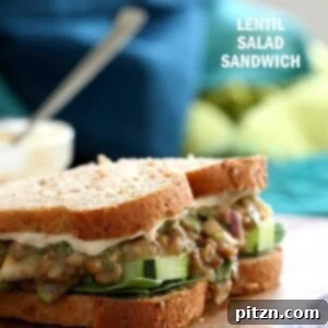 Falafel Spice Lentil Salad Sandwich with fresh vegetables