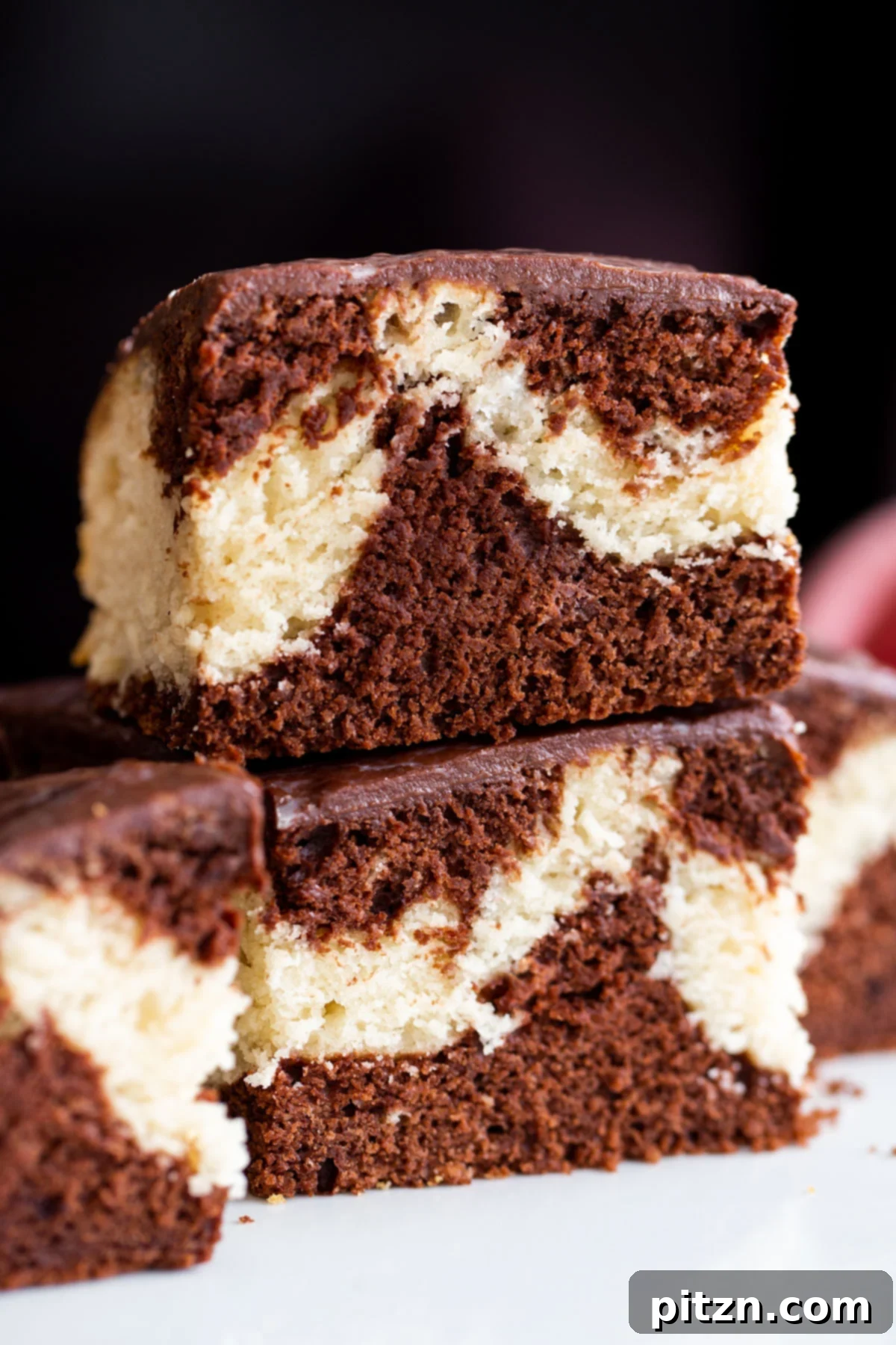 Decadent Mocha Swirl Cake 2 Two stacked slices of gorgeous vegan mocha marble cake with beautiful chocolate and vanilla swirls.