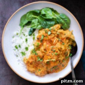 Vegan Shahi Jackfruit Korma